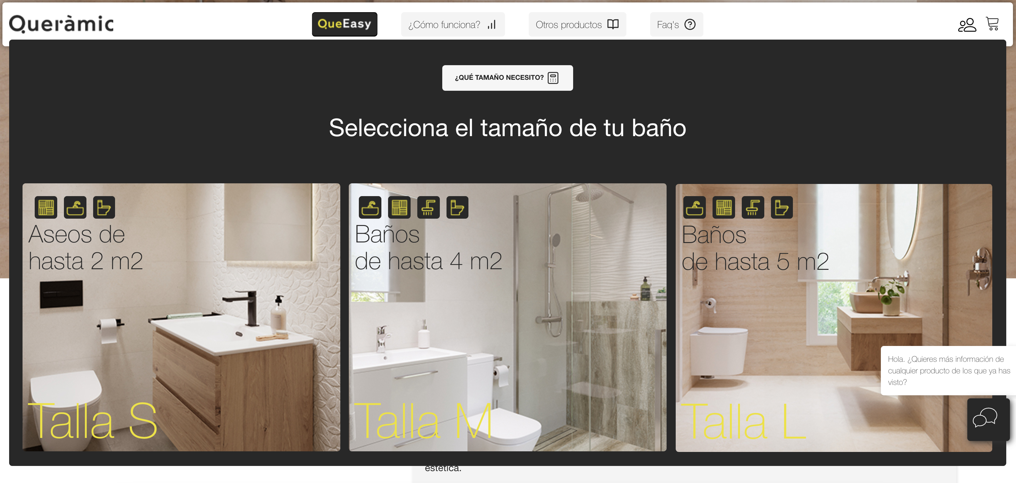 Captura de pantalla 2024-10-16 a las 11.21.35